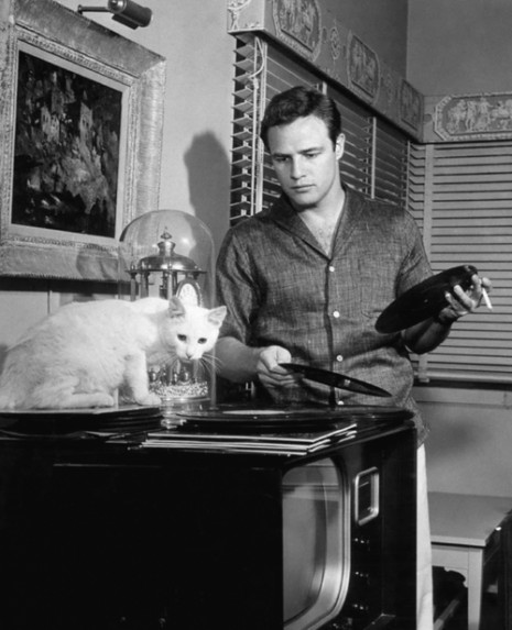 Marlon Brando écoute un viyle avec son chat