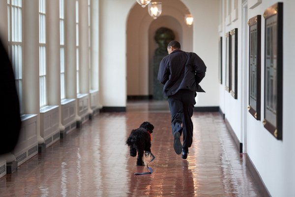 Barack Obama court avec son chien dans les couloirs de la maison blanche