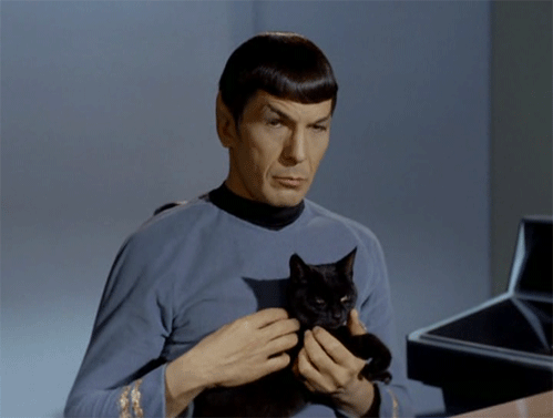 Spock kiffe son chat