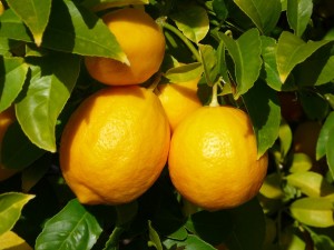 citron-jaune