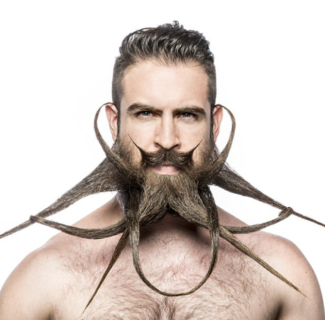 Beard le barbu d'internet