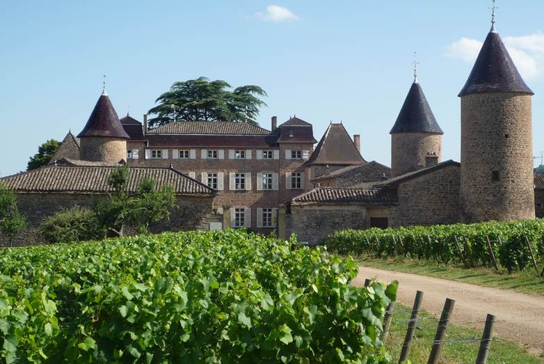 chateau_chasselas